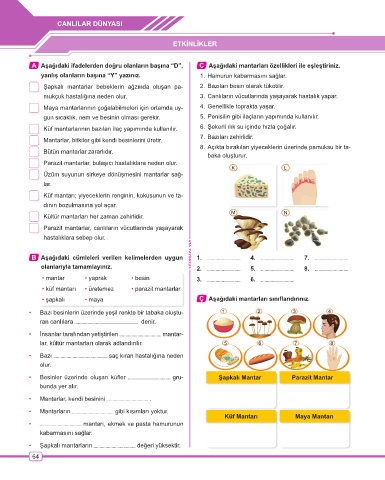 page 65 ata yayincilik 5 sinif ben korkmam fen bilimleri soru bankasi