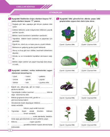 korkmam fen bilimleri