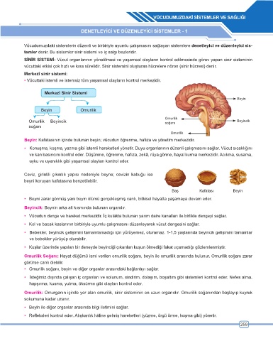 Kahraman sistemi 6. baskı pdf indir